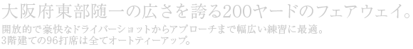 大阪府東部随一の広さを誇る200ヤードのフェアウェイ。開放的で豪快なドライバーショットからアプローチまで幅広い練習に最適。3階建ての96打席は全てオートティーアップ。